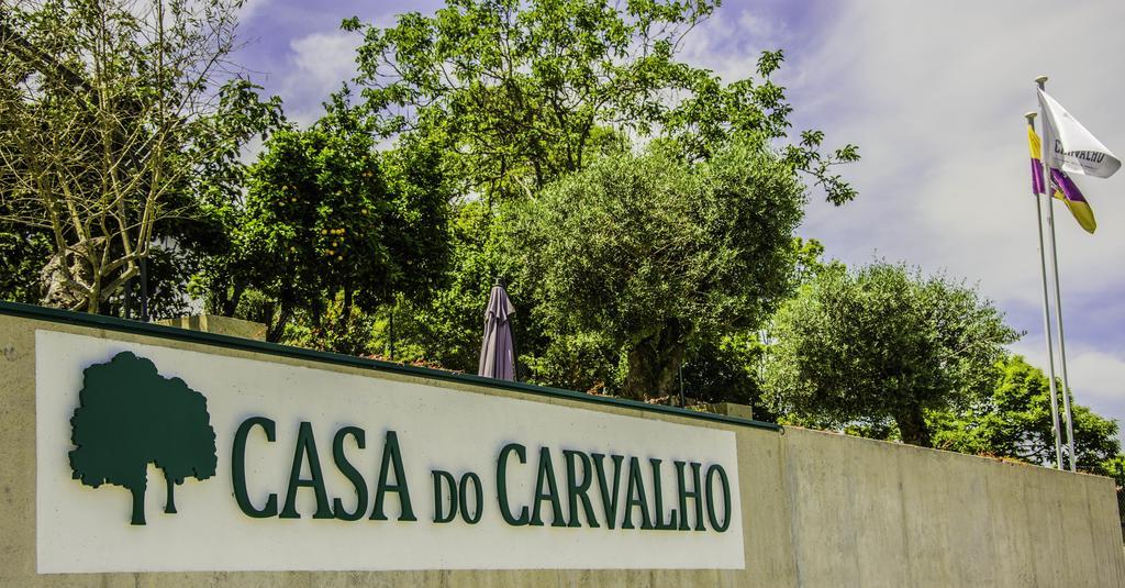 Casa Do Carvalho - Ponte De Lima Daire Dış mekan fotoğraf